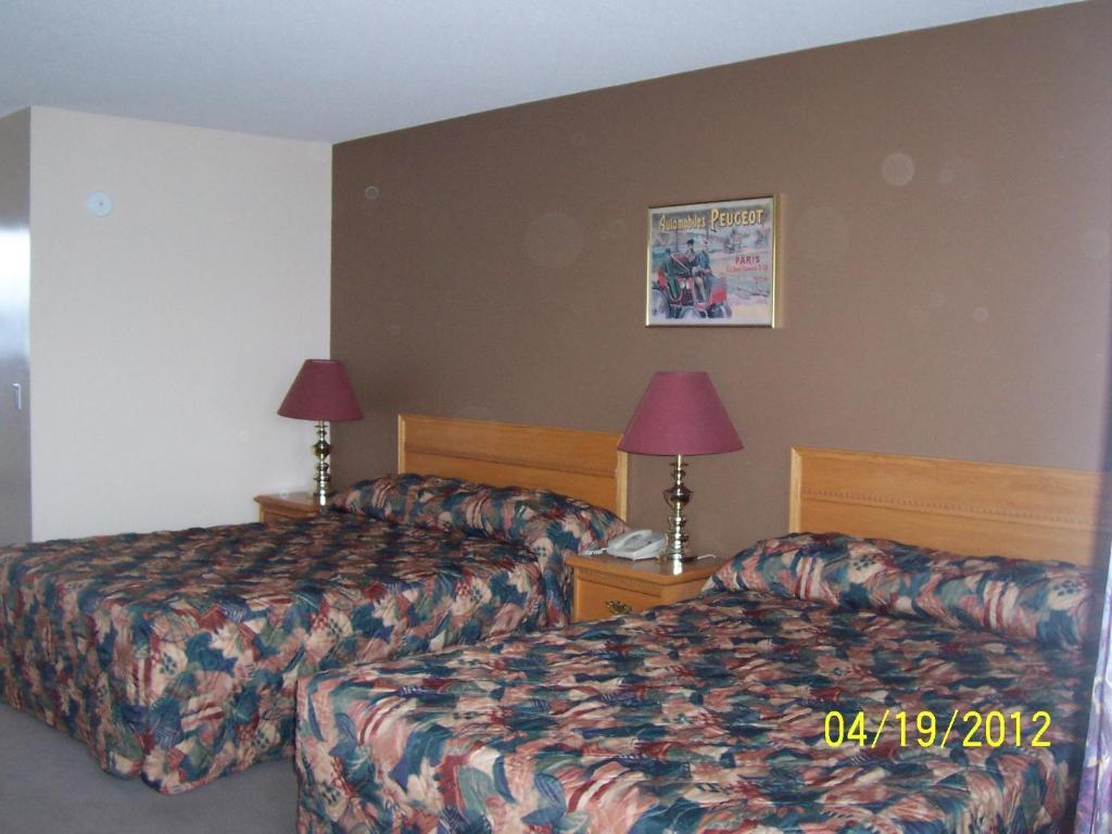 Model A Inn Cranbrook Oda fotoğraf